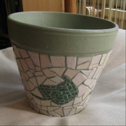 Le trèfle en pot VENDU